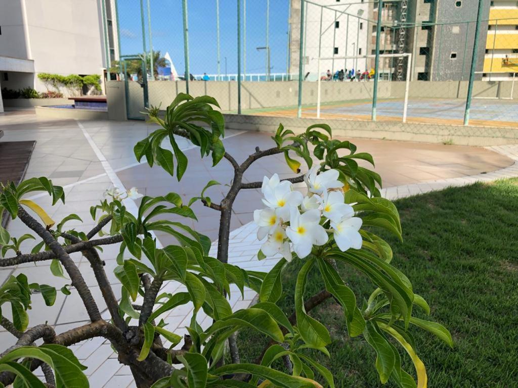 Apartamento - Edf. Duna Barcane Natal Esterno foto