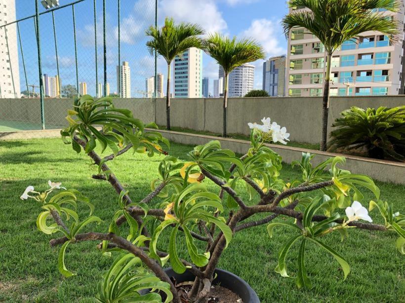 Apartamento - Edf. Duna Barcane Natal Esterno foto